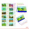 Lịch Để Bàn 2027 MT Mẫu MT41 (24 x 17cm) Quà Tri Ân Khách Hàng VIP & Đối Tác in logo doanh nghiệp quà tặng Tết tại Quà Tặng Sự Kiện VIP